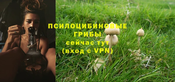 каннабис Белокуриха